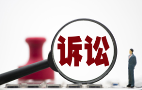 诉讼业务